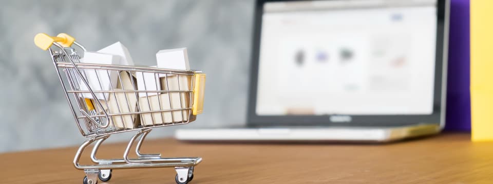 eCommerce Website Design