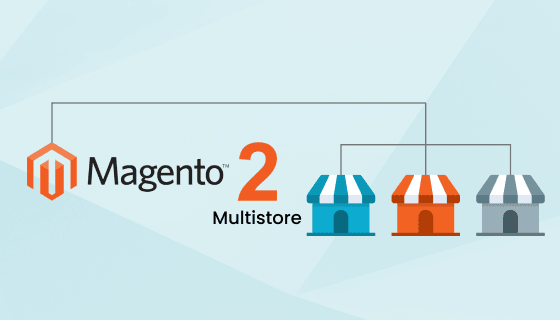 Magento 2 Multi-Store Set Up