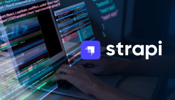 Strapi Web Development
