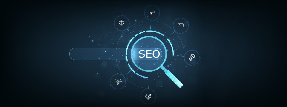 Local SEO & Reputation Management