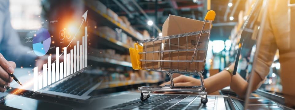 ecommerce store maintenance