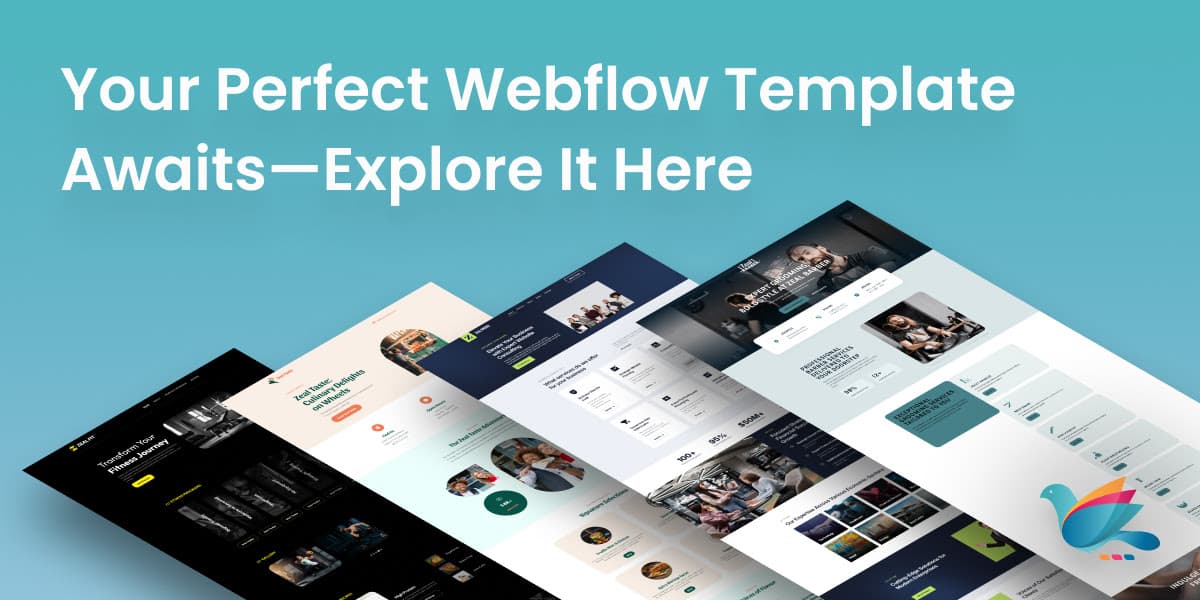Just Launched