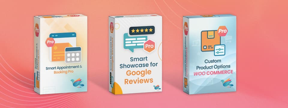 WordPress Plugin Update